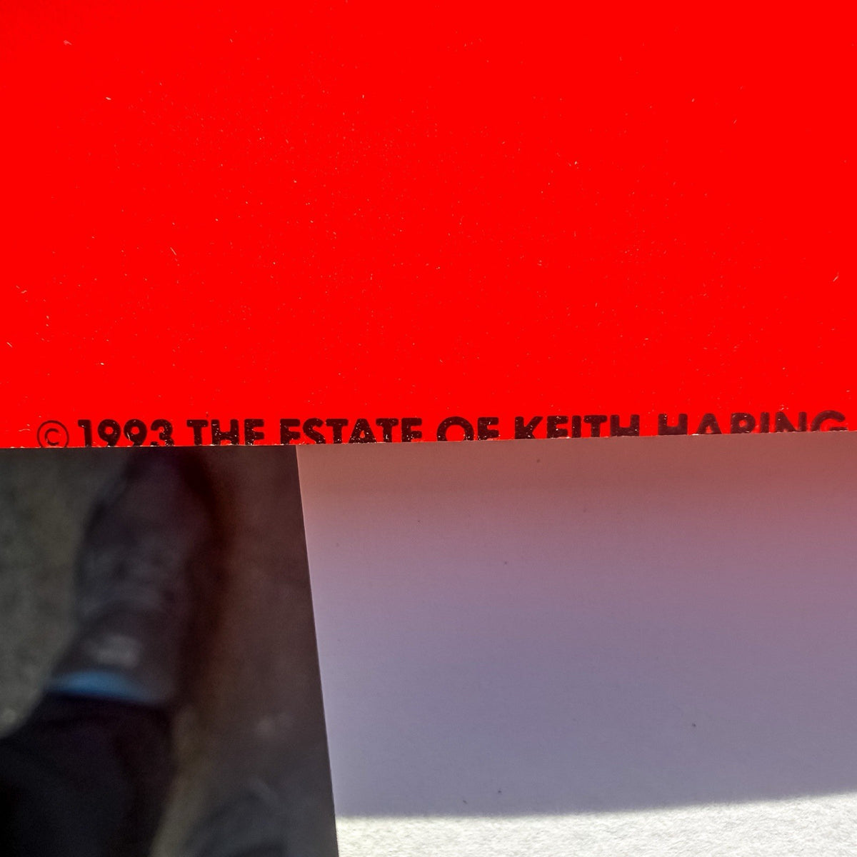 47851141