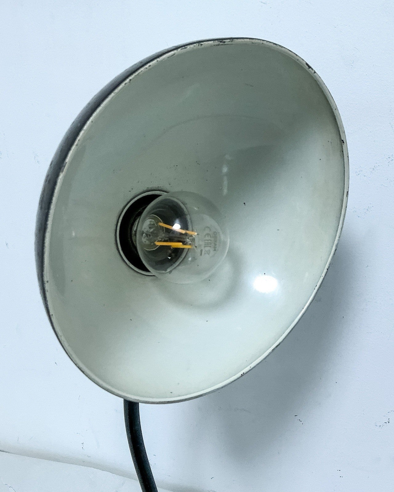 47022626